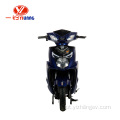 Off Road 1000W Electric Moped for Adults
